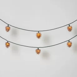 10ct Christmas LED String Lights With Sugared Pine Cones Warm White GW - Wondershop™