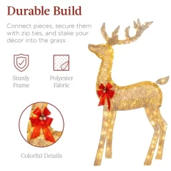 Best Choice Products 3-Piece Lighted Christmas Deer Set Outdoor Yard Decoration With 360 LED Lights, Stakes -Lighting Specialty Shop GUEST 67bdf723 f8f8 4bc6 ac5e cb496034d1cf