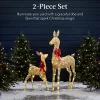 Best Choice Products 2-Piece Lighted Christmas Deer Set Outdoor Yard Decoration With 210 LED Lights, Stakes