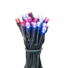Vickerman Battery Operated LED Lights