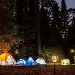 Solar Outdoor Torch Lights - Techko Maid -Lighting Specialty Shop GUEST f9729b9e 88cf 4f83 9a0c d243bf30bbe8